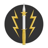 Special Service Group